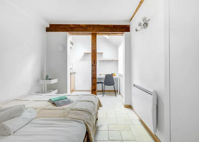 Near Notre Dame Apartment Paris